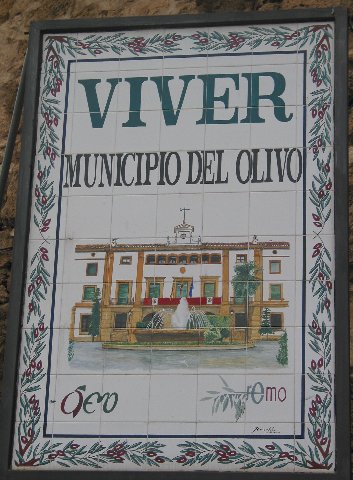 municipio del olivo